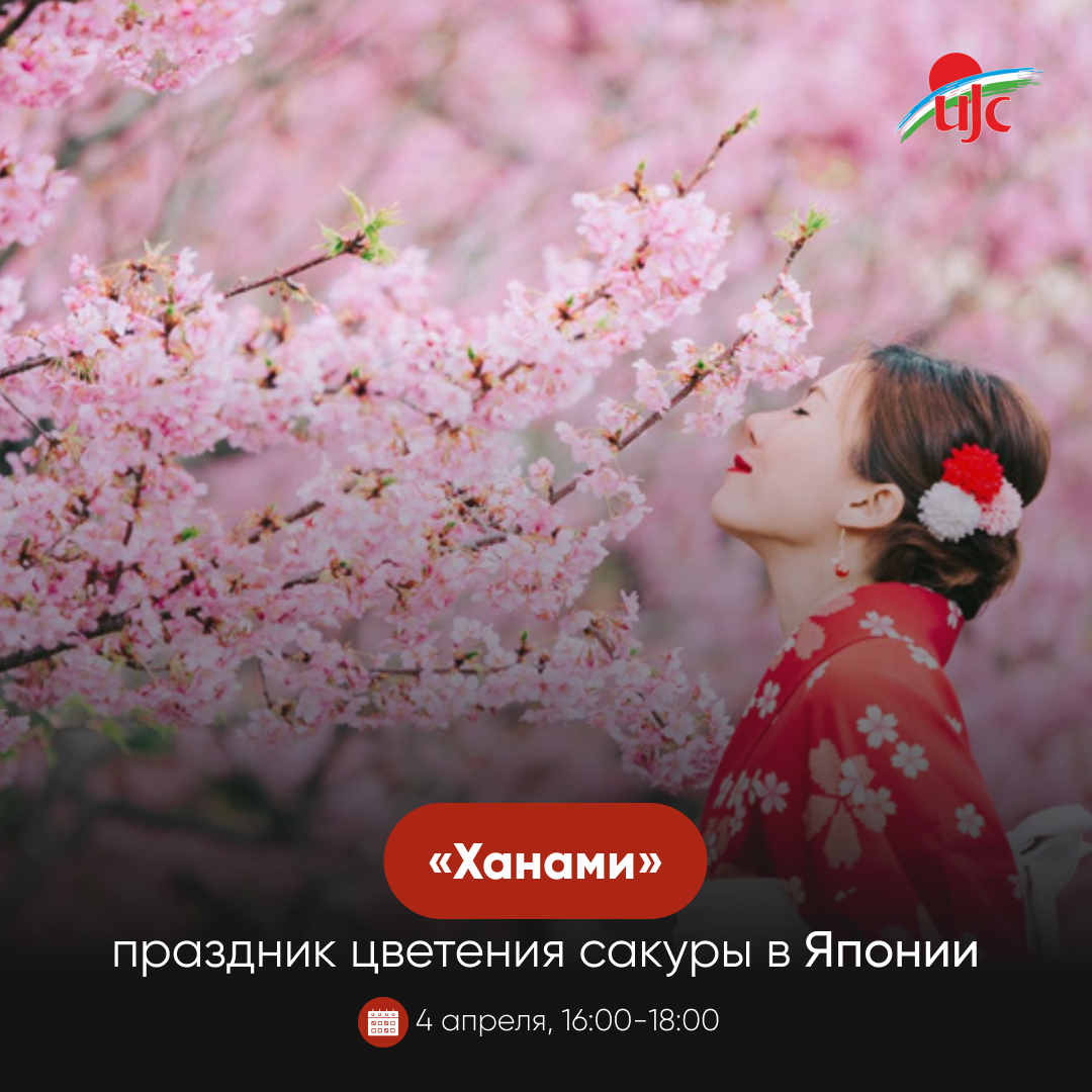 праздник цветения сакуры  web & TG (1).jpg