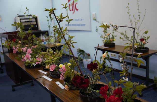 Без заголовка (1).png