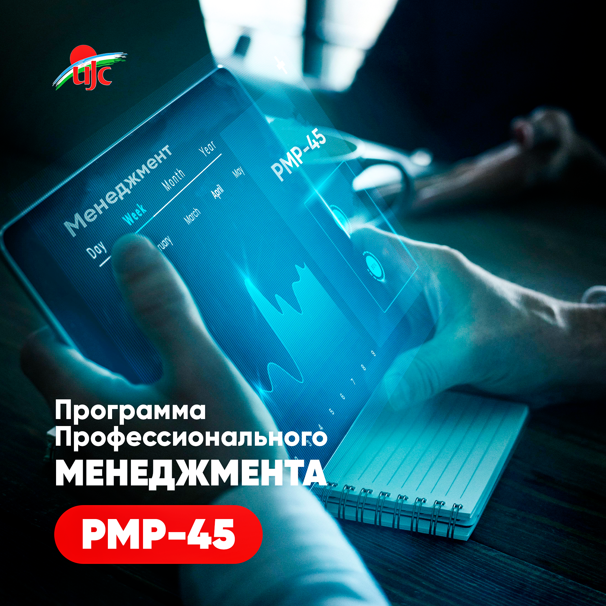 Программа Профессионального.png